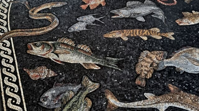 20210609_110639_edited_edited-1