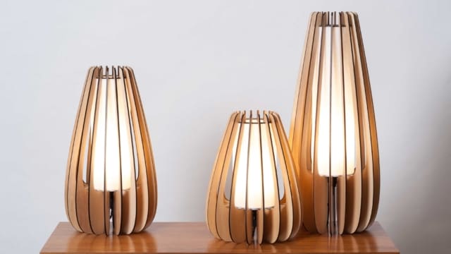 Cereus-Collection-01sm