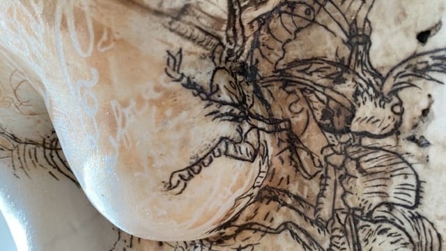 C5F1C592-8A33-4A68-9B6E-CF1DF3920E59_1_105_c